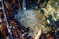 Tiny Waterfall 